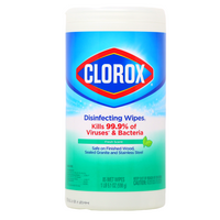 Clorox Disinfecting Wipes - Fresh Scent ( 85 wet wipes)